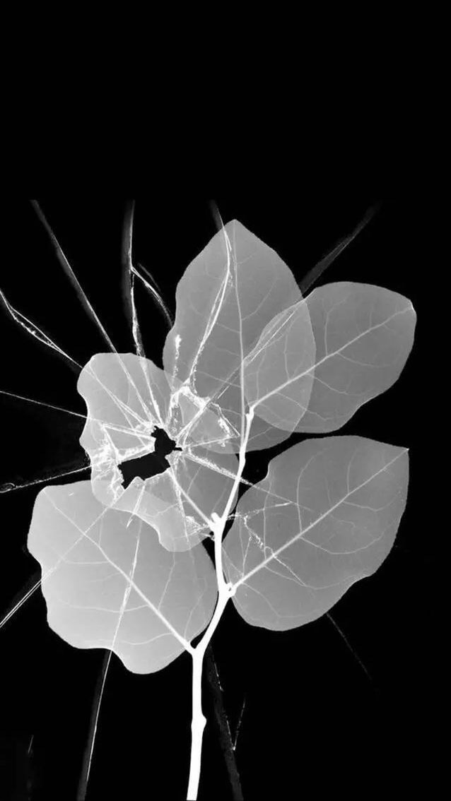 苹果手表壁纸破碎版(苹果手表壁纸破碎版怎么设置)-第3张图片-有道翻译官网