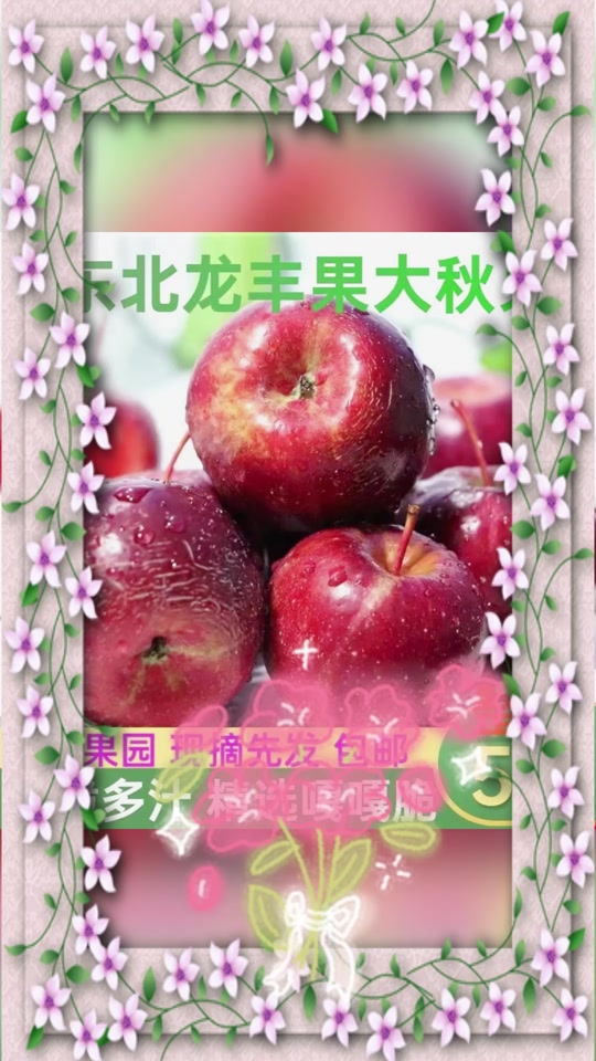 小苹果民谣版全集(小苹果歌曲电视剧名叫什么)-第14张图片-有道翻译官网