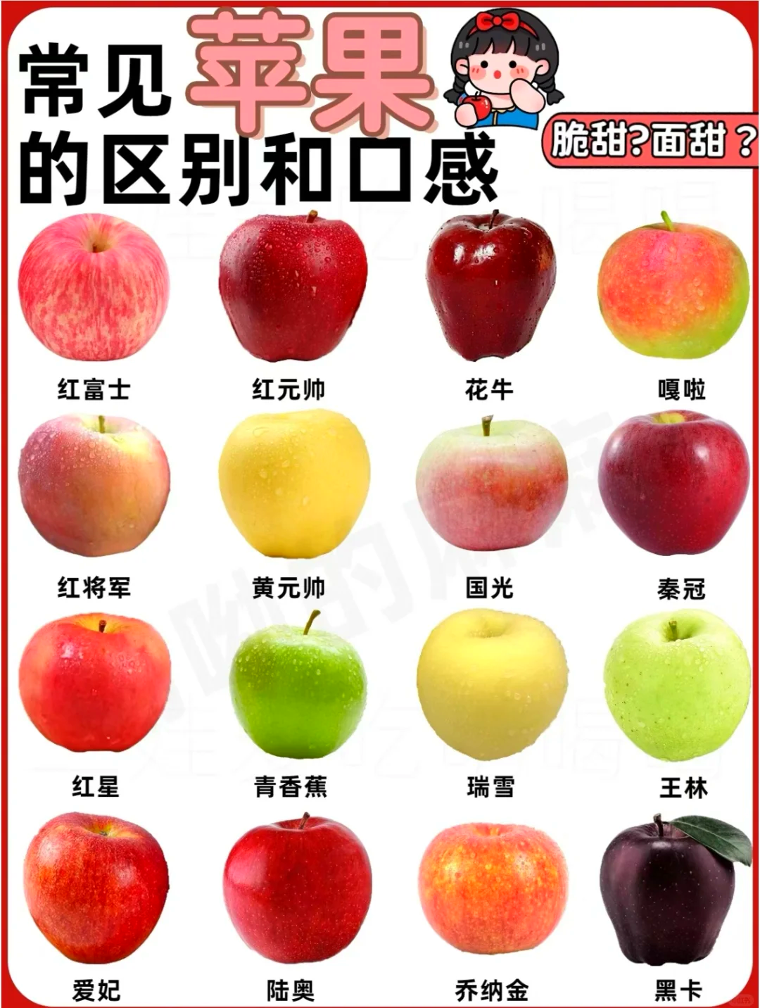 苹果简配版跟标准版(苹果简配版跟标准版哪个好)-第5张图片-有道翻译官网