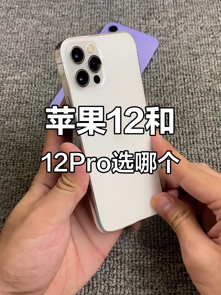 苹果12简配版和普通版(iphone 12简配版)-第7张图片-有道翻译官网